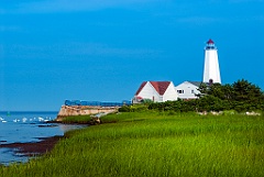 Swans at Low Tide Near Beachgrass of Lynde Point Lighthouse